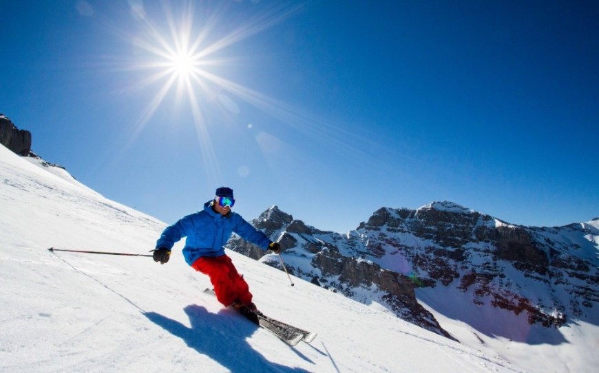 Partii de ski